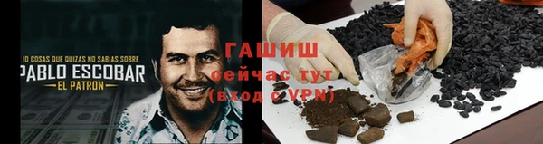 мяу мяу мука Бородино