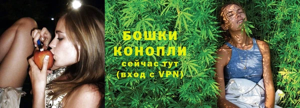 мяу мяу мука Бородино