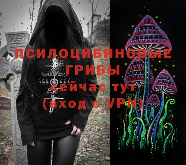 spice Бронницы