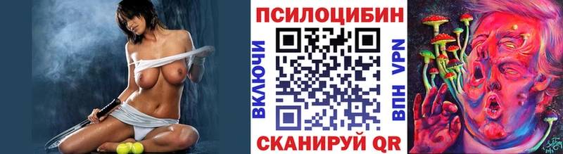 как найти закладки  Псков  Псилоцибиновые грибы Cubensis 